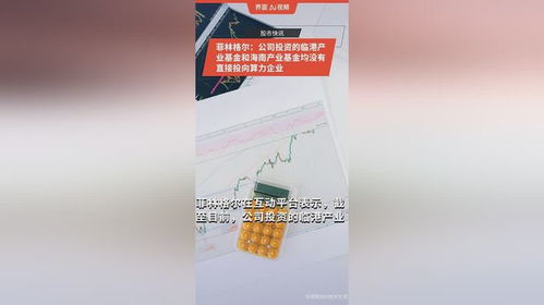 菲林格尔 公司投资的临港产业基金和海南产业基金均没有直接投向算力企业