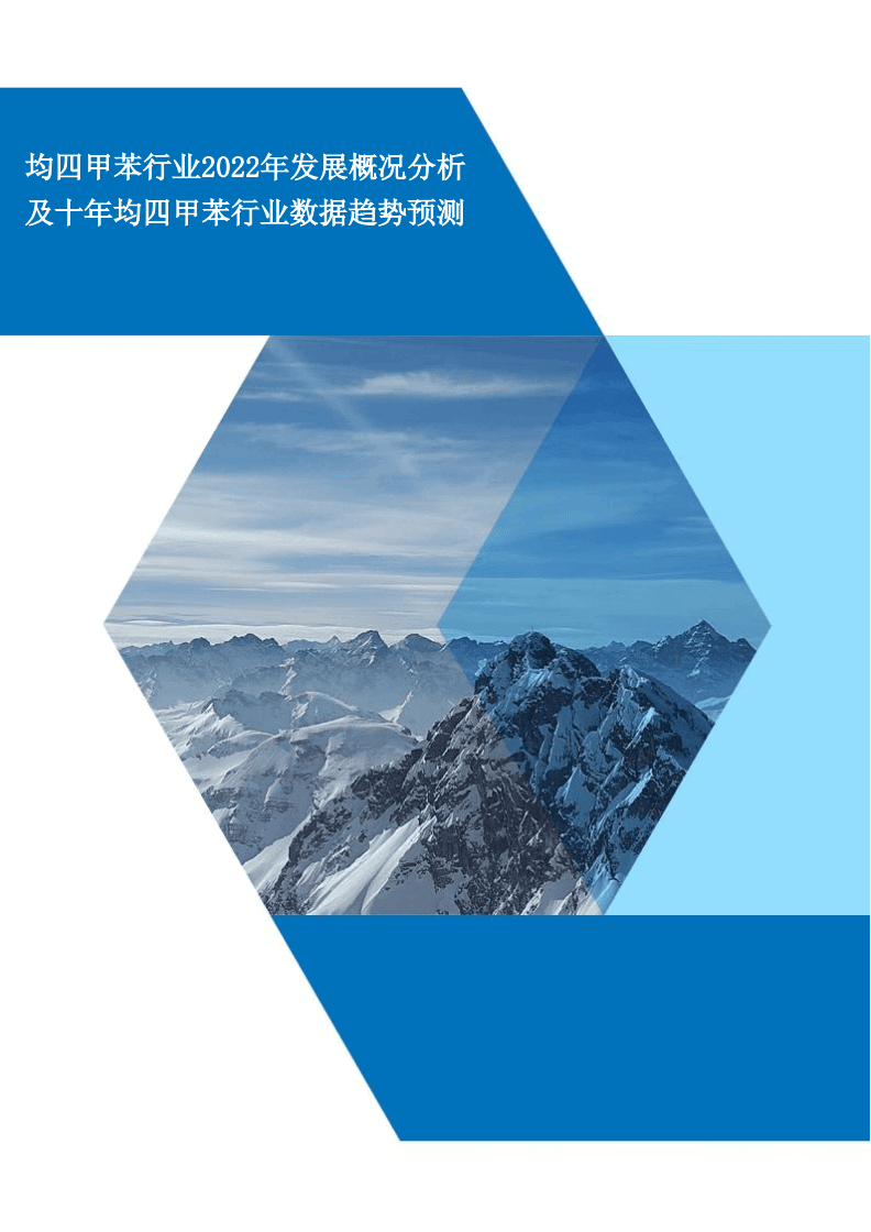 均四甲苯行业2022年发展概况分析及未来十年均四甲苯行业数据趋势预测.docx